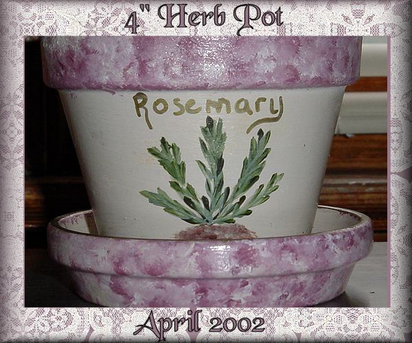 Hand Painted Rosemary Pot