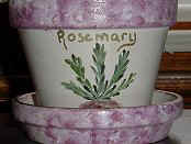 Rosemary Herb Pot